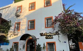 The Professor'S Hotel